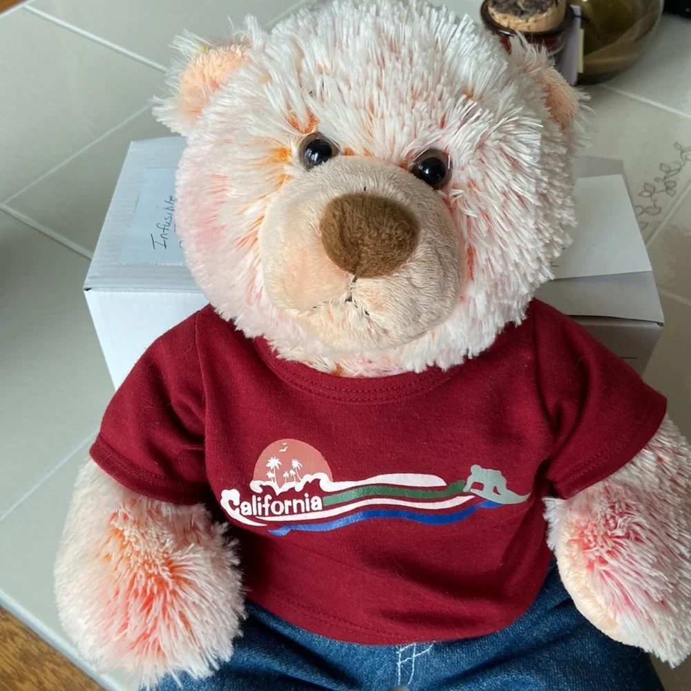 Build A Bear Vintage Bear